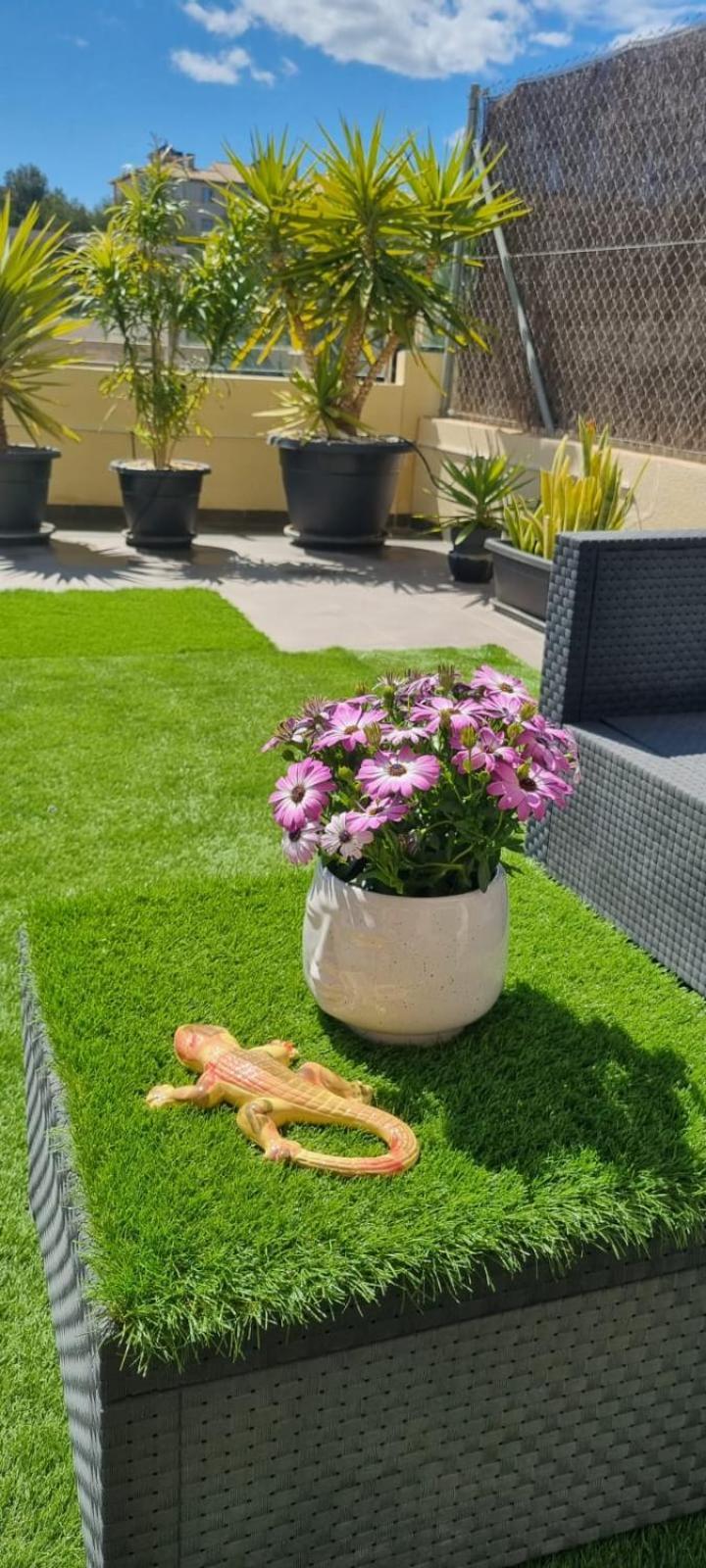 La Zenia Sabrina Apartment 5 奥里韦拉 外观 照片